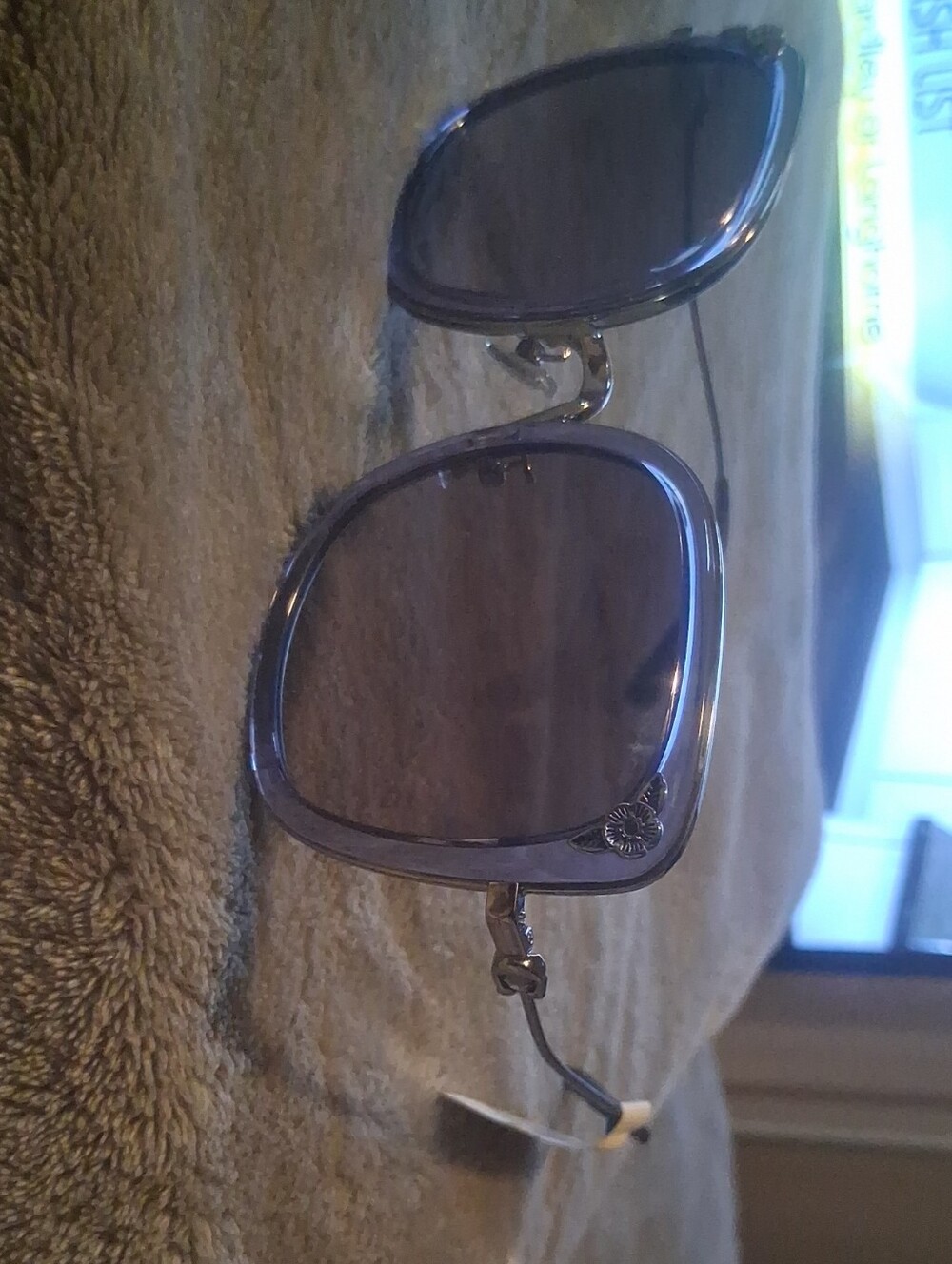 Coach Clear Frame Sunglasses with Gray Lenses